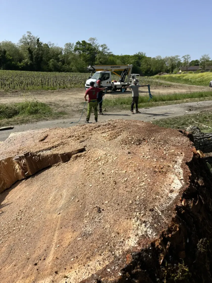 L’équipe LGB Paysage range les cordages devant le camion nacelle en fin de chantier d’abattage