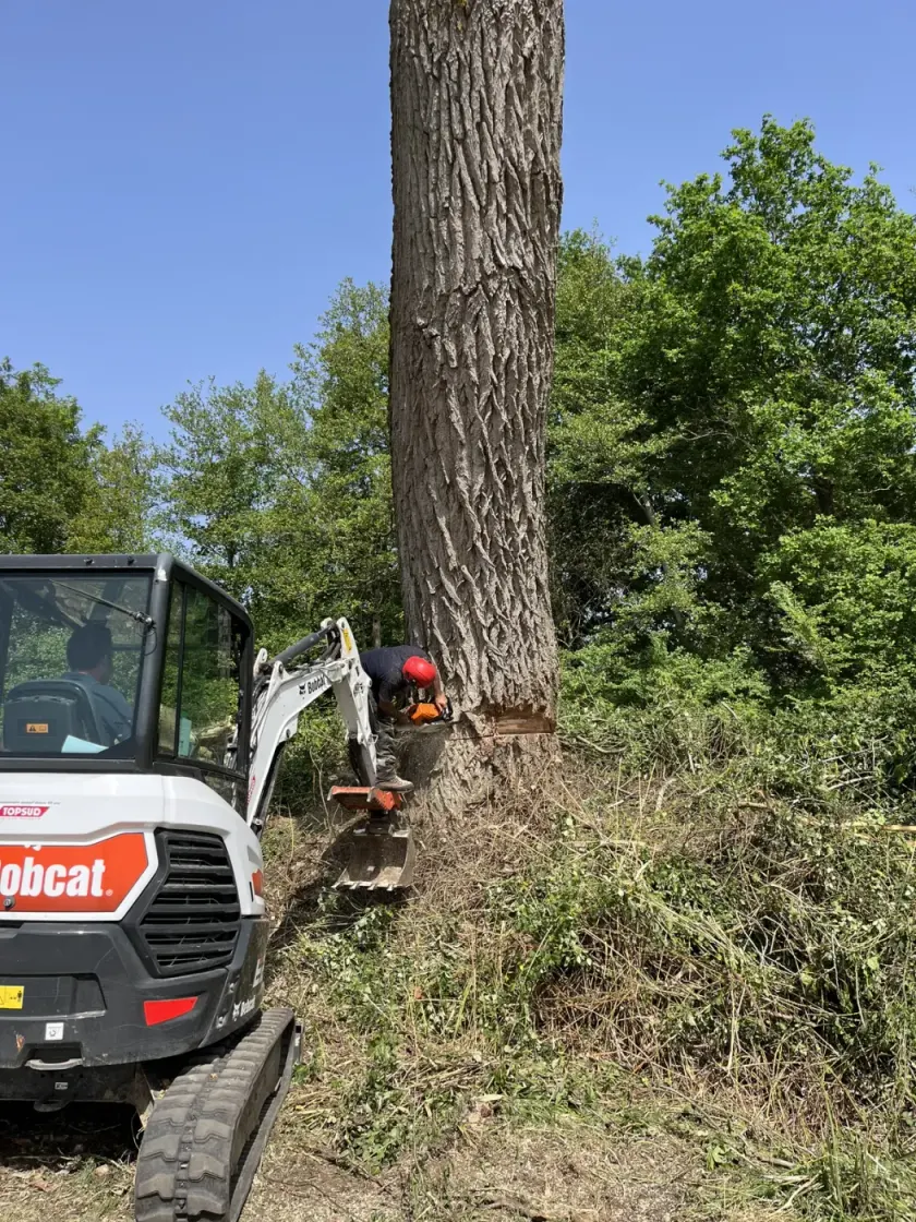 Conduite du chargeur compact pendant la manutention des billes de bois